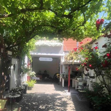 Ferienwohnung Im 'Schmoller - Hof' Neustadt an der Weinstraße Exterior photo