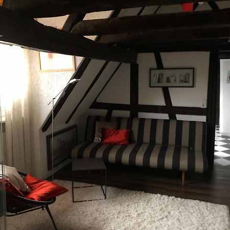 Ferienwohnung Im 'Schmoller - Hof' Neustadt an der Weinstraße Exterior photo