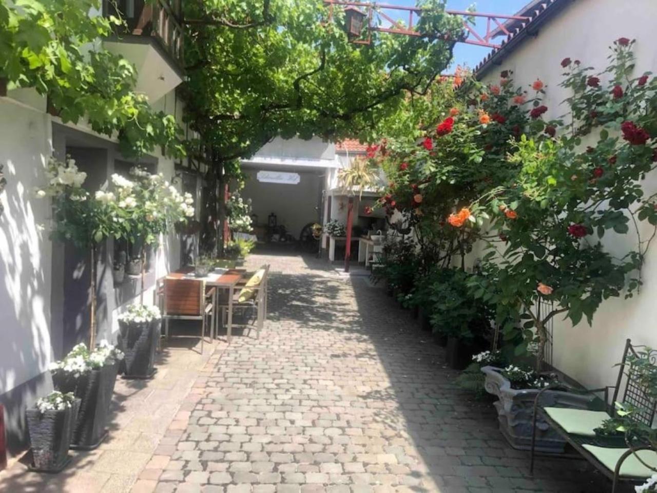 Ferienwohnung Im 'Schmoller - Hof' Neustadt an der Weinstraße Exterior photo